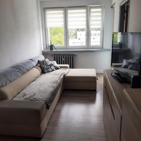 Apartament Komfortowy - W Pelni Wyposazony - Spaceapart Leilighet Jelenia Góra Eksteriør bilde
