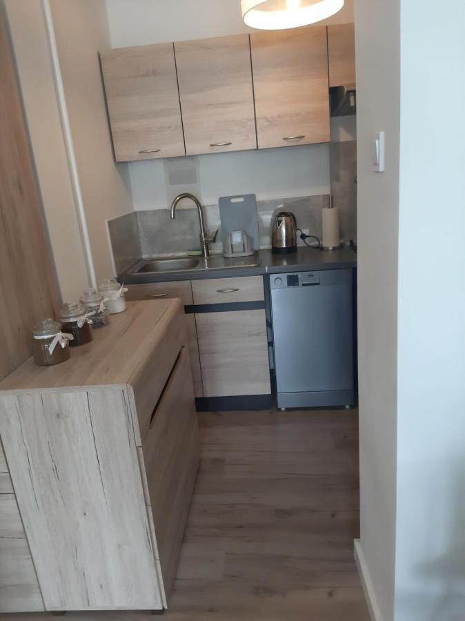 Apartament Komfortowy - W Pelni Wyposazony - Spaceapart Leilighet Jelenia Góra Eksteriør bilde